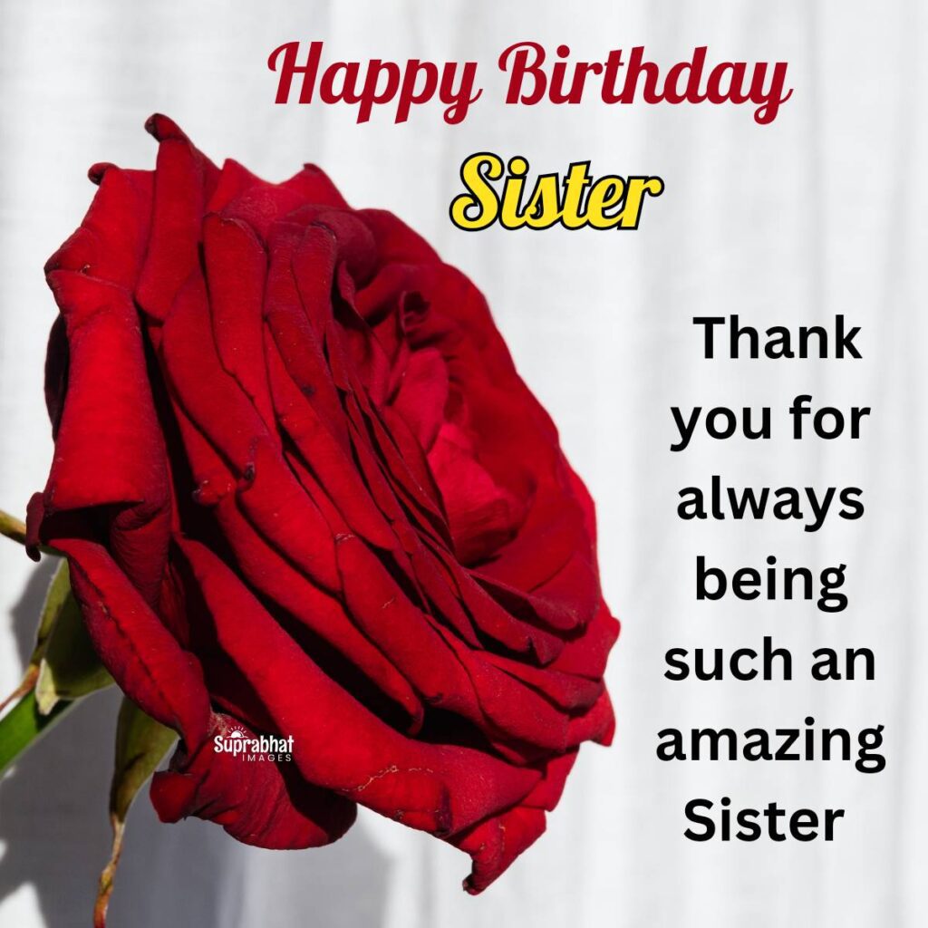 Happy Birthday Sister: Celebrating the Bond of Sisterhood in Style
